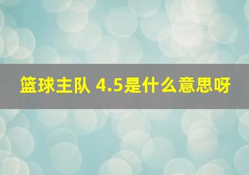 篮球主队 4.5是什么意思呀